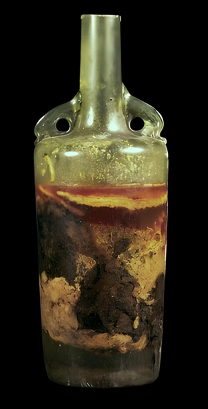 La plus vieille bouteille de vin