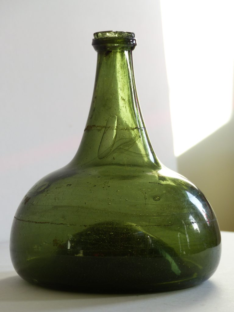 Un oignon à la loupe …