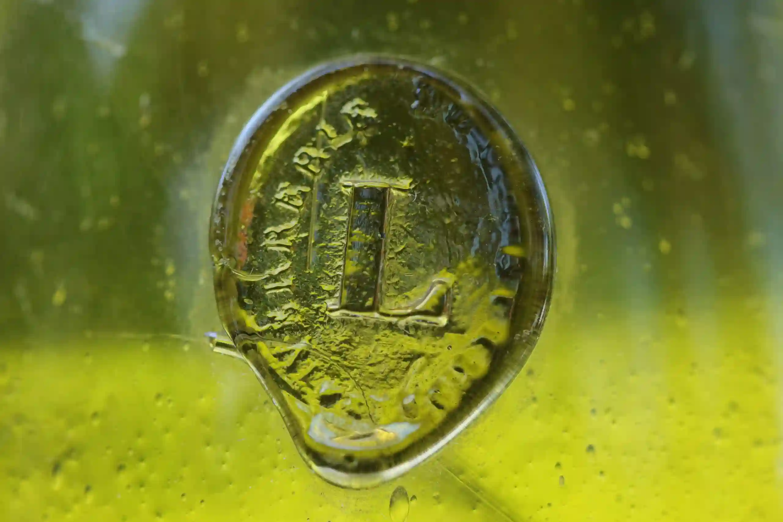 Sceau-mystère, le « Four de Paris » et les champenoises en Argonne